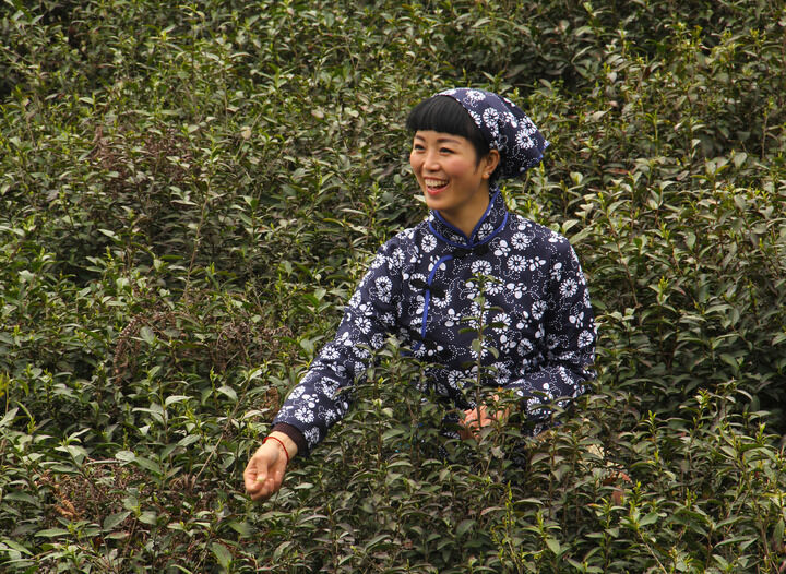 真人秀幕后纪实